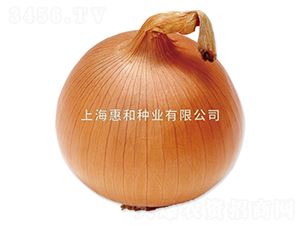 ������-�������-�ݺ���ҵ