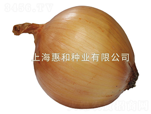 ��303-�������-�ݺ���ҵ