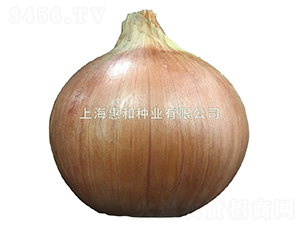 ����-�������-�ݺ���ҵ