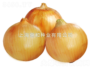 �ۻ�-�������-�ݺ���ҵ