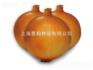 ����-�������-�ݺ���ҵ