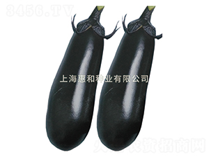 ����-��������-�ݺ���ҵ