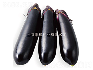 �ڽ�-��������-�ݺ���ҵ