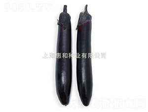 �ڴ�-��������-�ݺ���ҵ