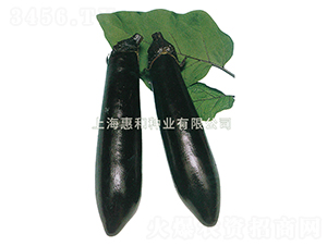 ����-��������-�ݺ���ҵ