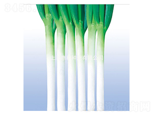 ��Ұ-�������-�ݺ���ҵ