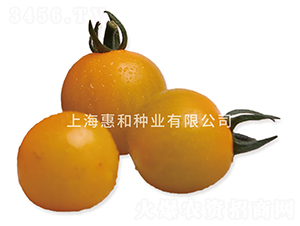 �ƹڶ���-С��������-�ݺ���ҵ