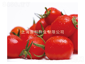 ����601-С��������-�ݺ���ҵ