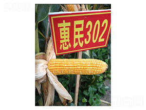 ����302-��������-����ũҵ