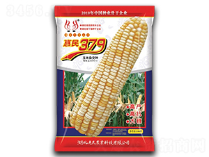 ����379-��������-����ũҵ