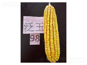 ����98-��������-������ҵ
