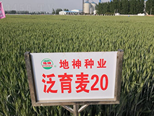������20-С������-������ҵ