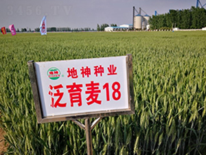������18-С������-������ҵ