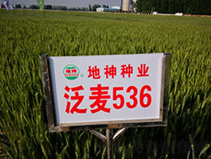 ����536-С������-������ҵ