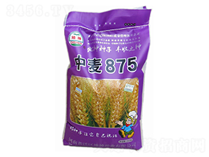 ����875-С������-������ҵ