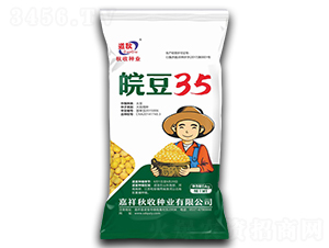 �35���̴���-������-������ҵ