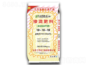 ����ɵ��BB�ʲ������19-19-19-��������