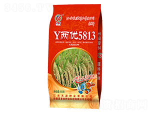 Y����5813-ˮ������-ϲ����