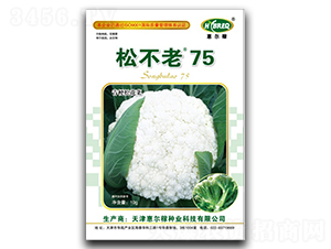 �ɲ���75-�ɻ�������-�ݶ���