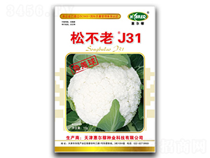 �ɲ���J31-�ɻ�������-�ݶ���