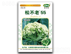 �ɲ���55-�ɻ�������-�ݶ���
