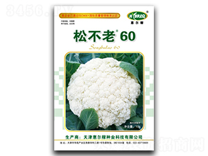 �ɲ���60-�ɻ�������-�ݶ���
