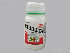 250g�л�ˮ�ܷ���-ֲ��˶���-����ũ��