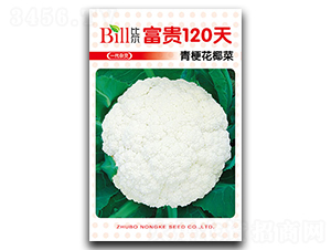 ����120��-��Ҭ������-�ȶ�