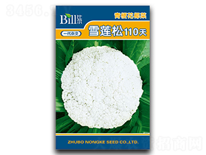 ѩ����110��-��Ҭ������-�ȶ�