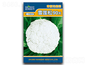 ѩ����90��-��Ҭ������-�ȶ�