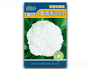 ѩ����75��-��Ҭ������-�ȶ�