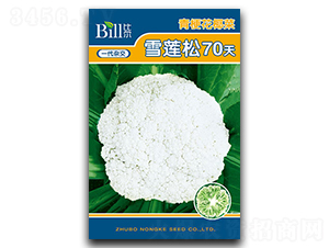 ѩ����70��-��Ҭ������-�ȶ�