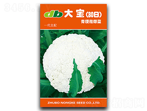 �󱦣�80�գ�-��Ҭ������-�ȶ�