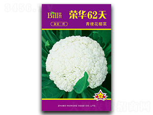 �ٻ�62��-��Ҭ������-�ȶ�