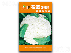 �ɱ�80��-��Ҭ������-�ȶ�