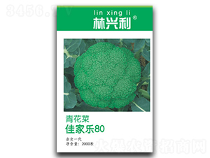 �Ѽ���80-����������-������