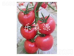 �ѷ�806-��������-��ɭԴ