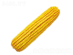 º��5��-��������-��ũ��