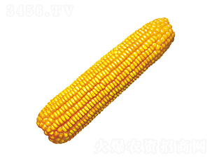 º��6��-��������-��ũ��