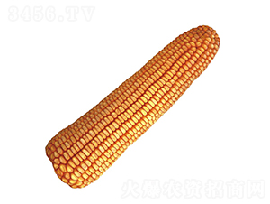 º��13-��������-��ũ��
