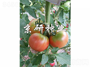 ����302-��������-����