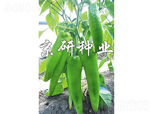 ����910-��������-����