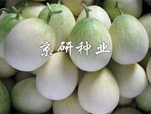 ����2008-�������-����