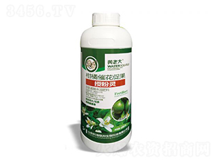 1000g���ٴ߻��ٹ��ڷ���-���ϴ�-�ƺ�����