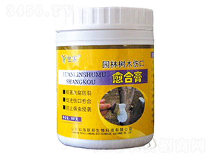 500g԰����ľ�˿����ϸ�-����-�ƺ�����