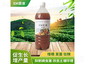 EMԭҺ-���������