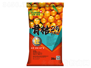�ʽ�2��׳����-Ԫ������