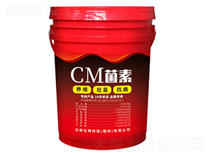 CM����-Ԫ������