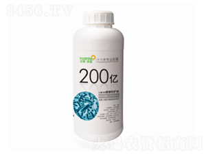 200��΢�������-Ԫ������