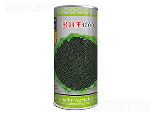 ������1003-�Ϳ�����-�ȷ�